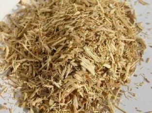 Siberian ginseng - Eleutherococcus senticosus